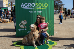 II Encontro de Raças - Golden Retriever