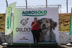 II Encontro de Raças - Golden Retriever