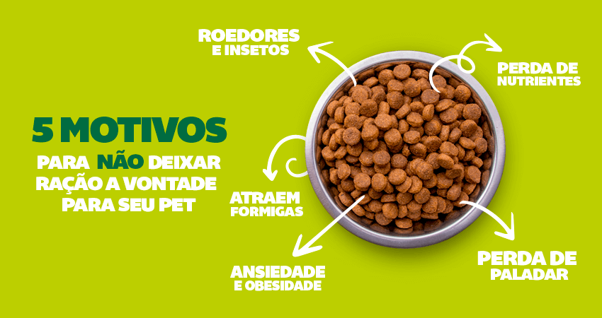 DICA AGROSOLO: Cuidados com animais de estimação nos jogos da Copa – Blog  Agrosolo Bauru