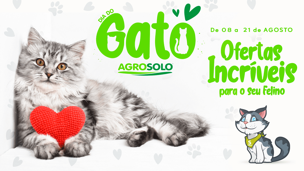 Dia Internacional do Gato saiba mais sobre a data e celebre com ofertas especiais!