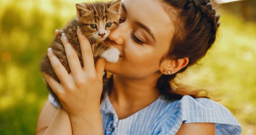 Dia Internacional do Gato: saiba mais sobre a data e celebre com ofertas especiais!