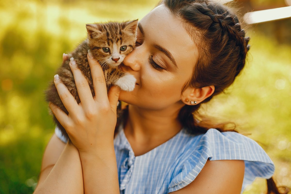 Dia Internacional do Gato: saiba mais sobre a data e celebre com ofertas especiais!