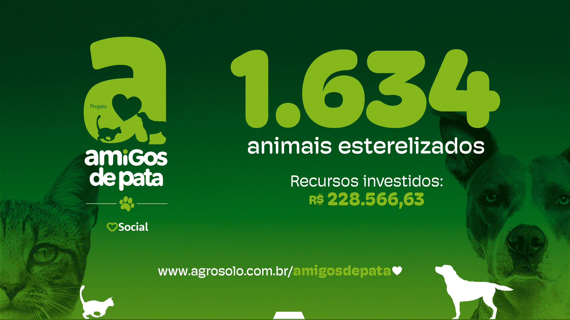 Blog numeros castraÇÕes agosto