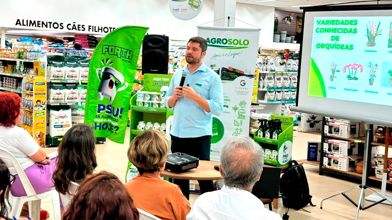 Destaque blog
