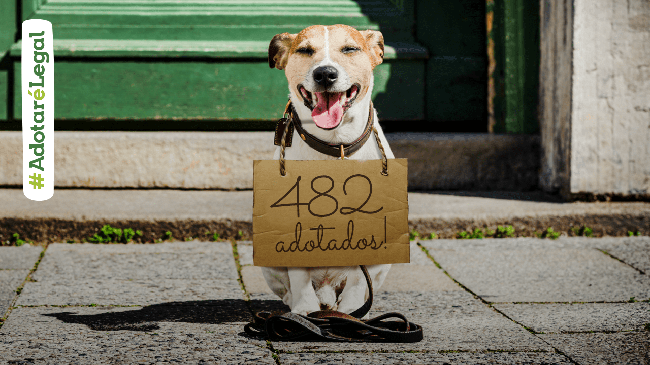 Blog adotados 18 outubro 2025