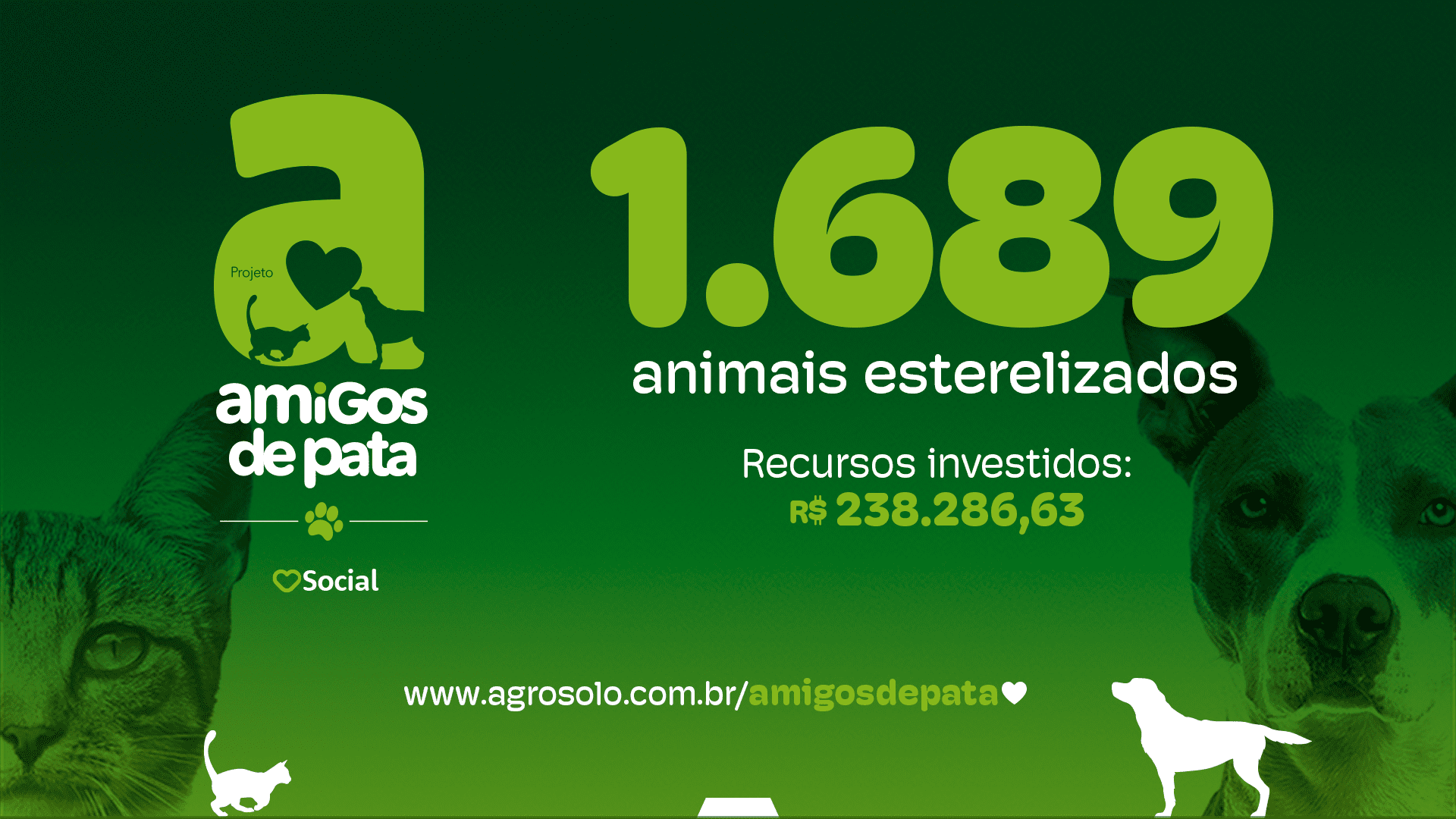 Blog numeros castraÇÕes setembro
