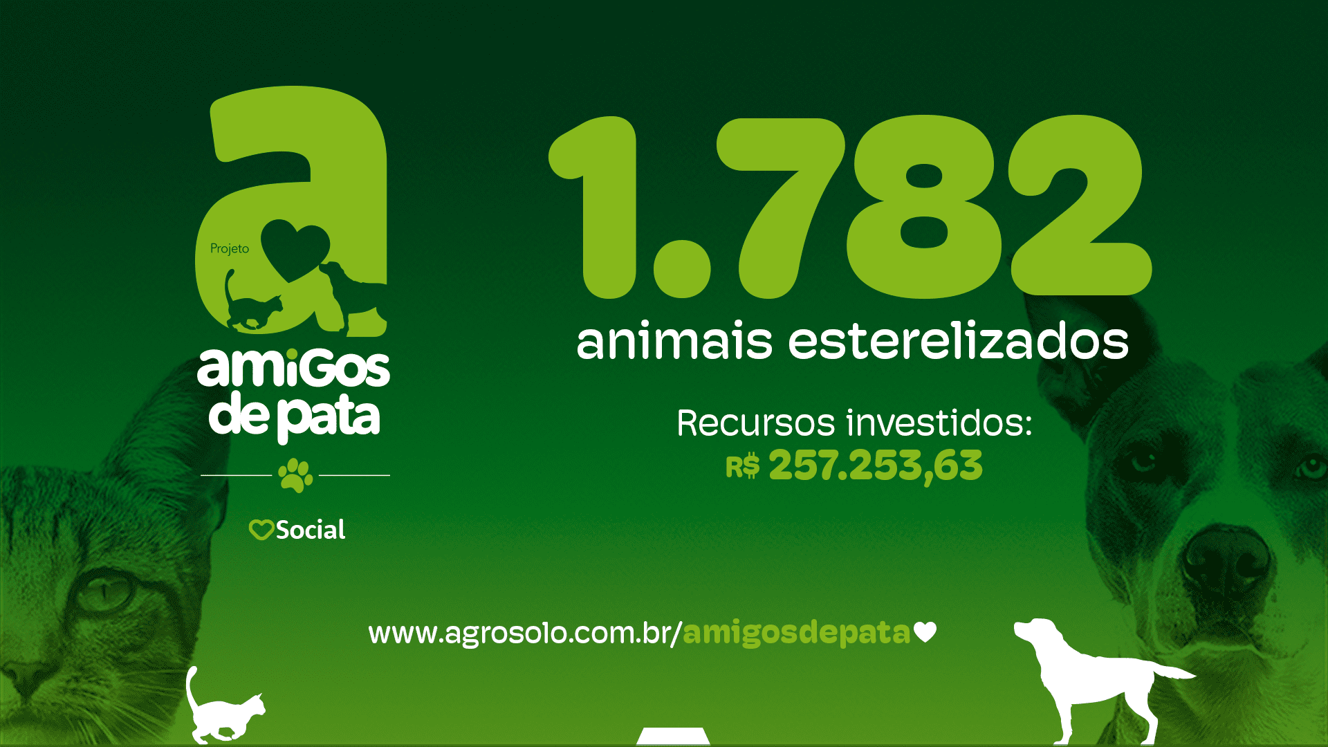 BLOG NUMEROS CASTRAÇÕES NOVEMBRO