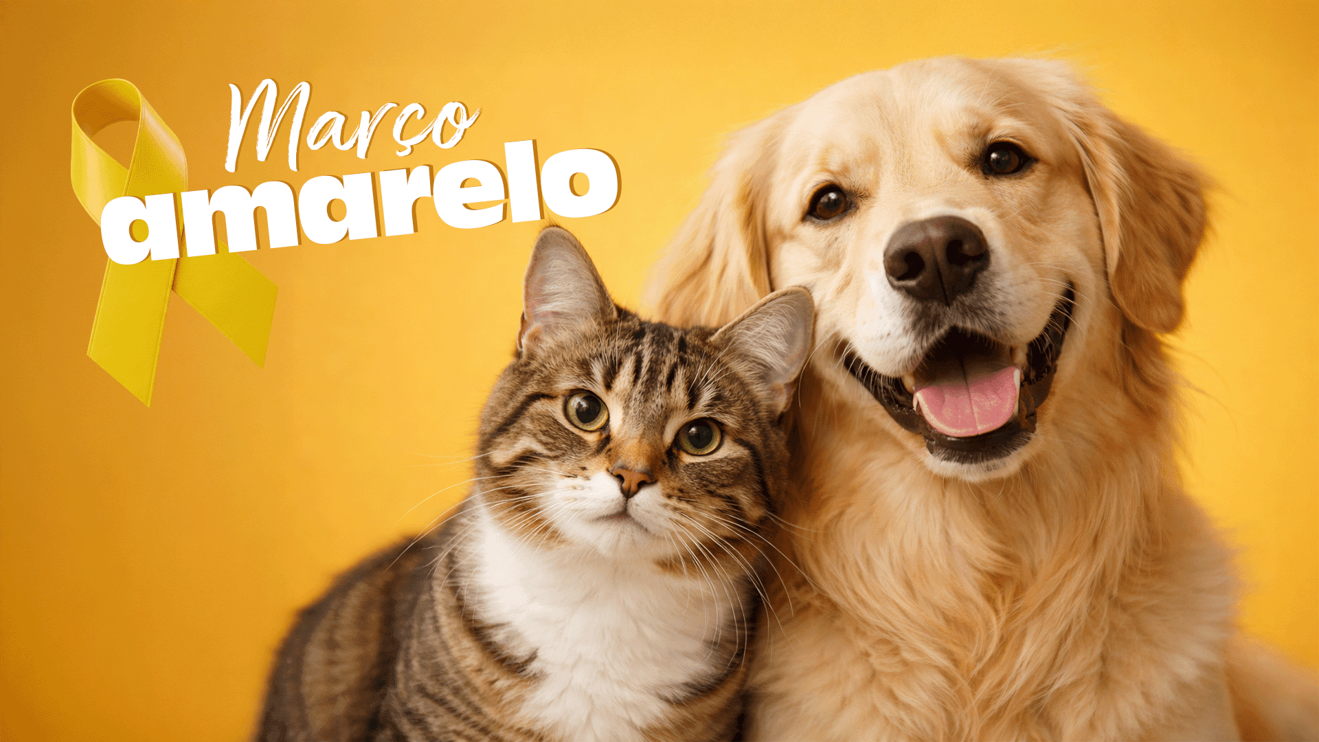 CAPA BLOG MARÇO AMARELO