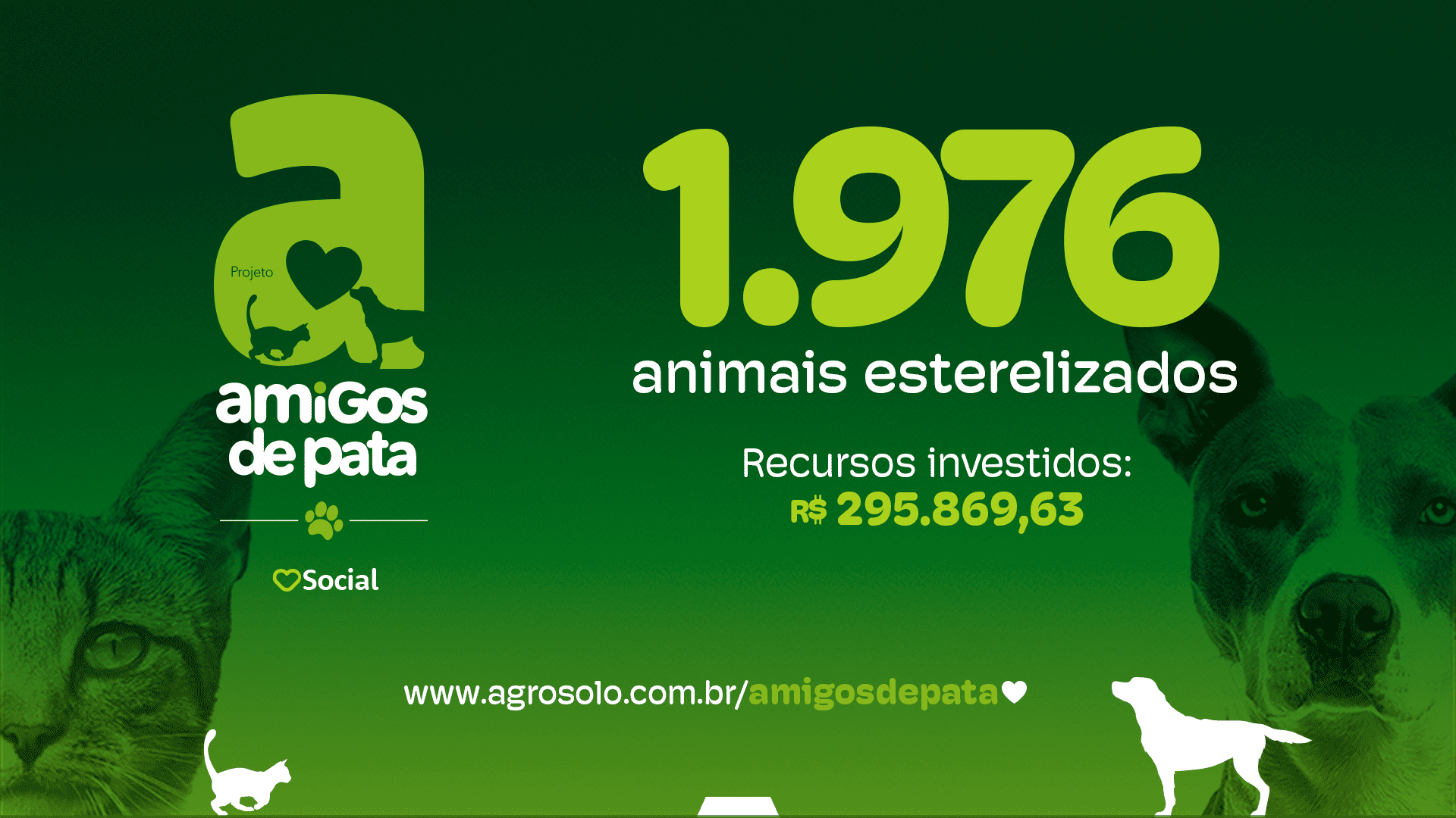 BLOG NUMEROS CASTRAÇÕES MARÇO