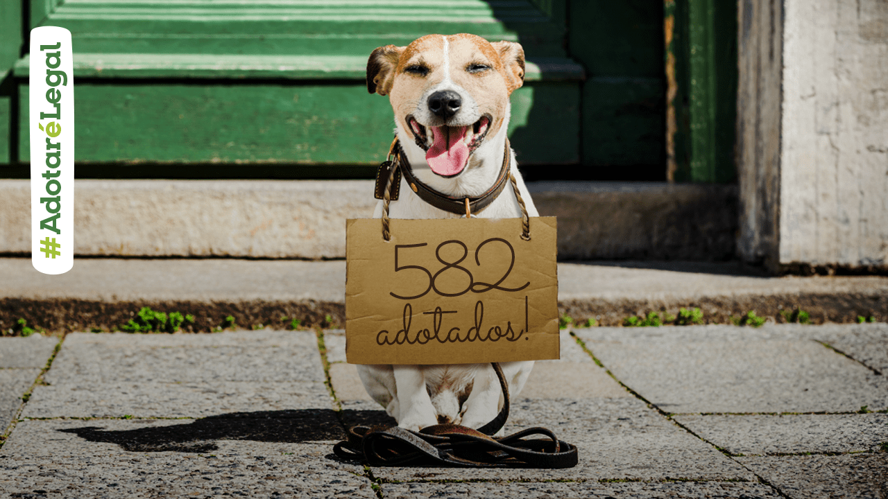 BLOG ADOTADOS abril