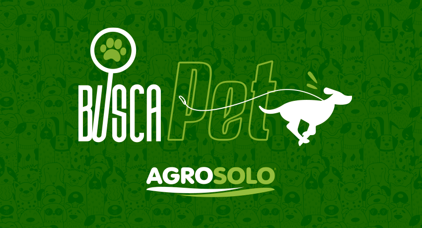 Pet busca