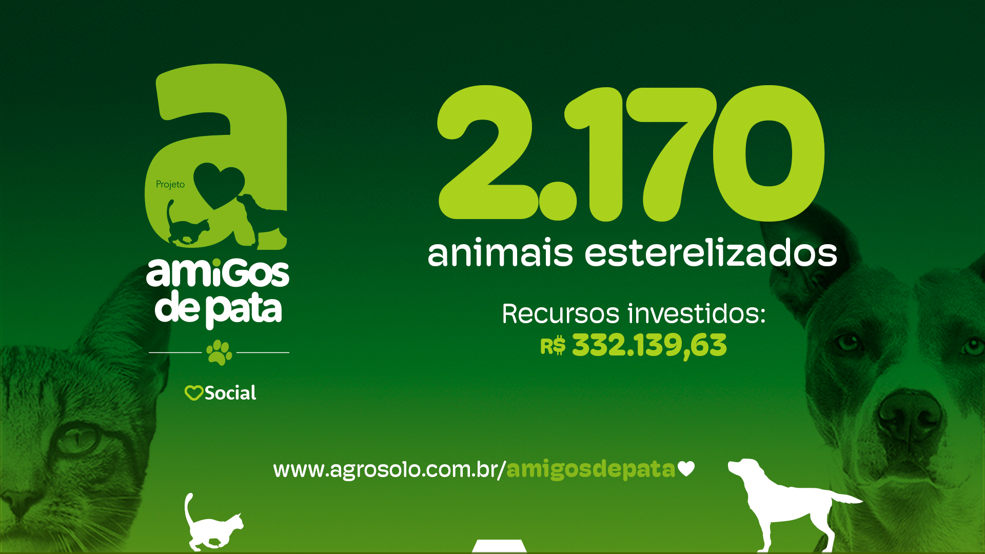 BLOG NUMEROS CASTRAÇÕES JULHO