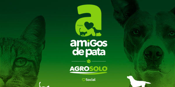 BLOG NUMEROS CASTRAÇÕES AGOSTO