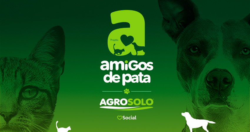 BLOG NUMEROS CASTRAÇÕES AGOSTO
