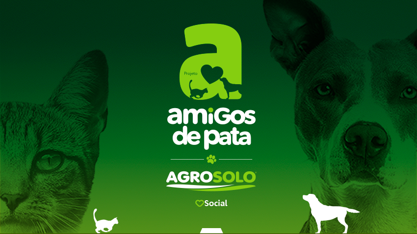 BLOG NUMEROS CASTRAÇÕES AGOSTO